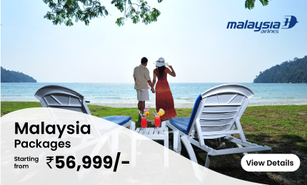 Malaysian-airlines-web-banner