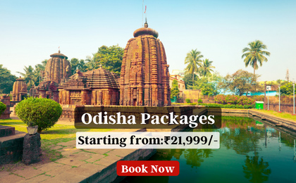 odisha-package-banner