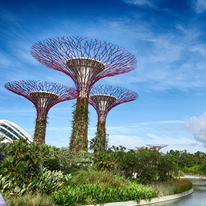 Things to do in Singapore